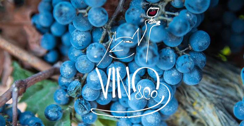 77a8b99a d1fe 4608 bb86 3f1bd0e1815e.webp