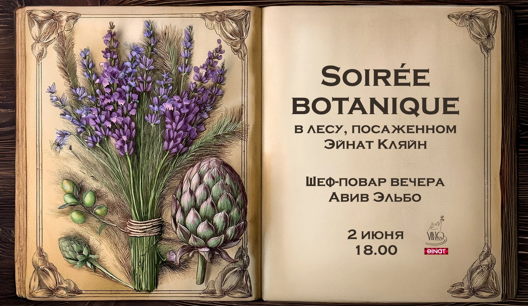 Forest 2000x1161 site.webp